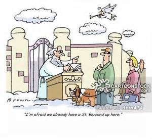 st bernard