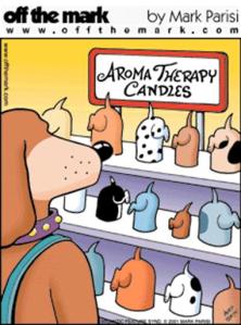 dog candles