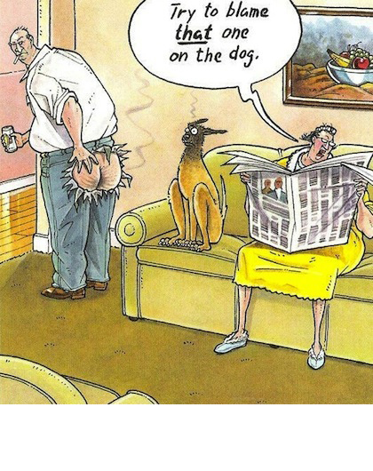 dog joke 7