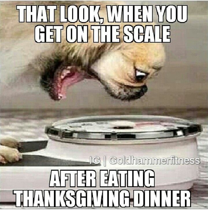 Thanksgiving5