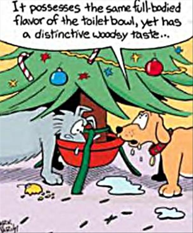 funny-christmas-comics-funny-pictures