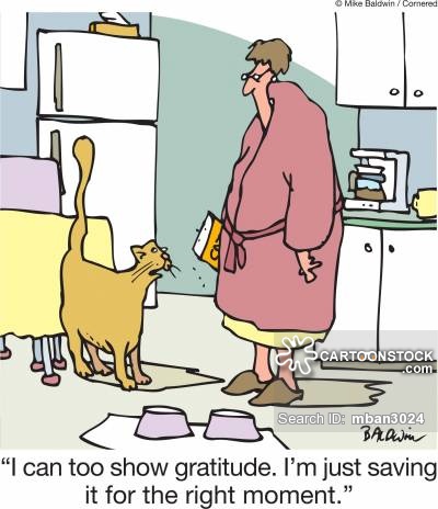 'I can too show gratitude. I'm just saving it for the right moment.'