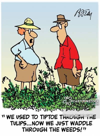 'We use to tiptoe through the tulips. . . now we just waddle through the weeds.'
