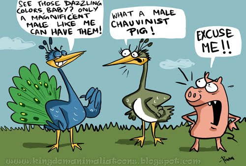 chauvinist pig