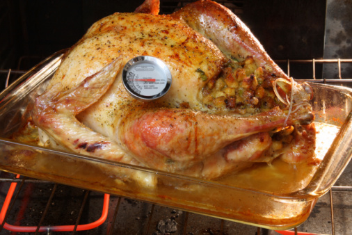 Golden Roasted Turkey in the oven with a meat thermometer. Turkey, roasted, thanksgiving, Christmas, New Years Eve, Holidays, Meat Thermometer, oven, cooking, restaurants, food, dinner, poultry, cooking, stuffing, golden, cuisine
