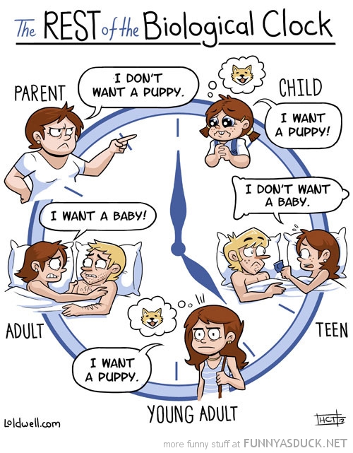 biological clock