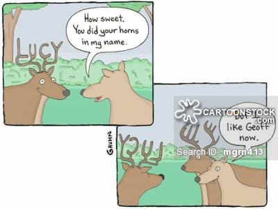 Valentines Day in the Animal Kingdom