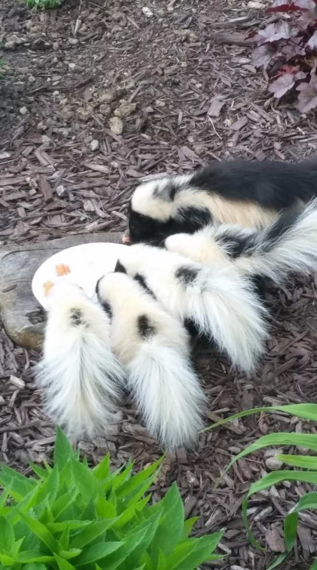 6711DD15-7AA6-4171-BDA4-6BB49D4A8A87