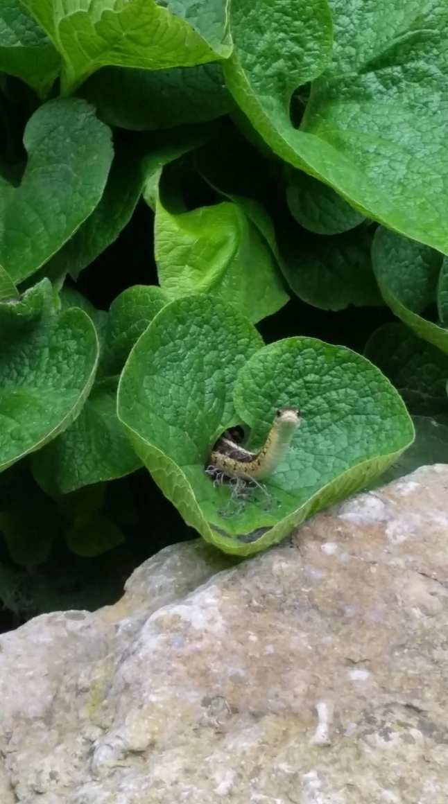 8C5B776D-AB9A-4B8F-A949-008B08A3D626