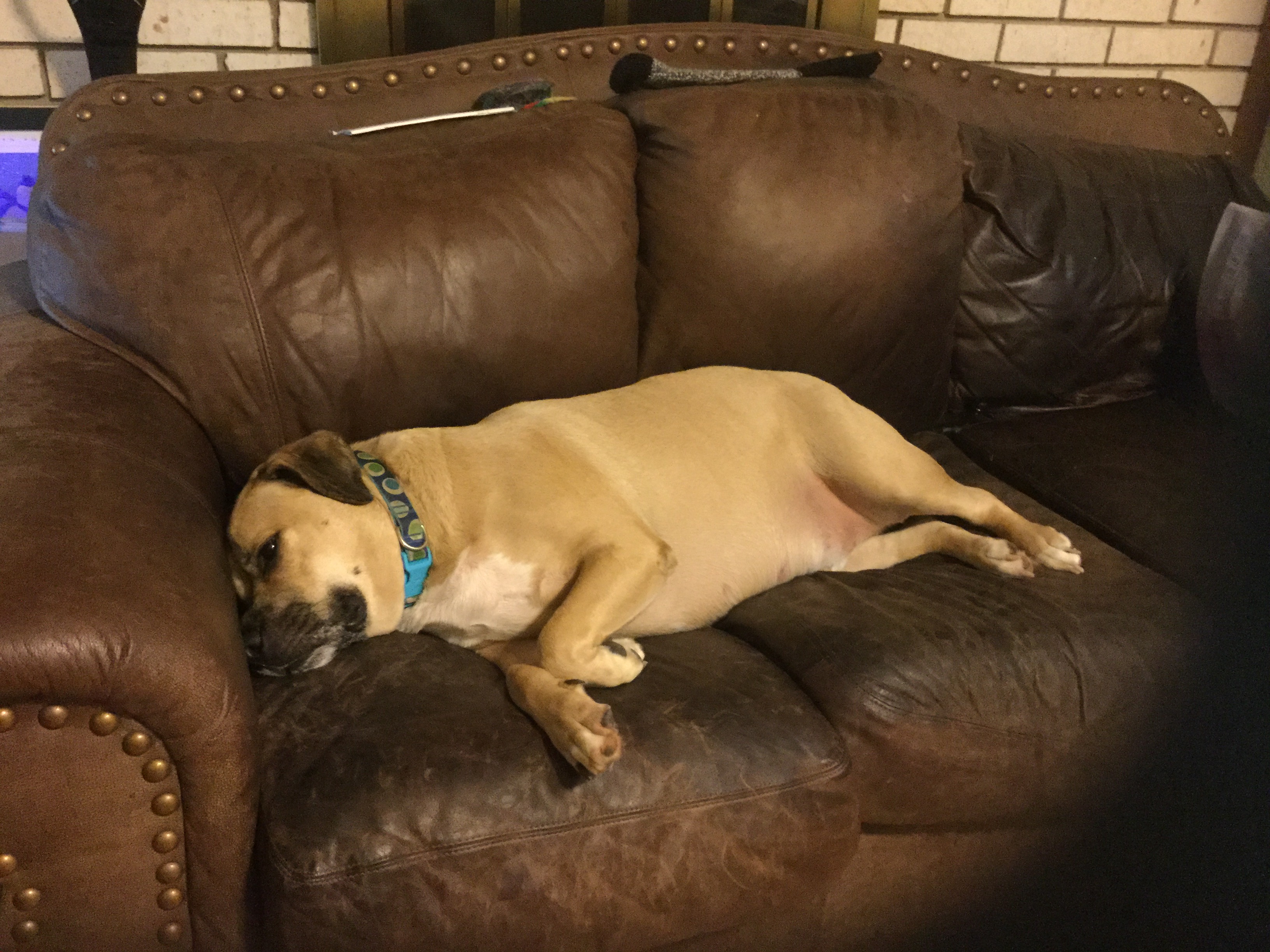 5ABD486C-0A53-42C4-AAD9-AC8618CB96CB