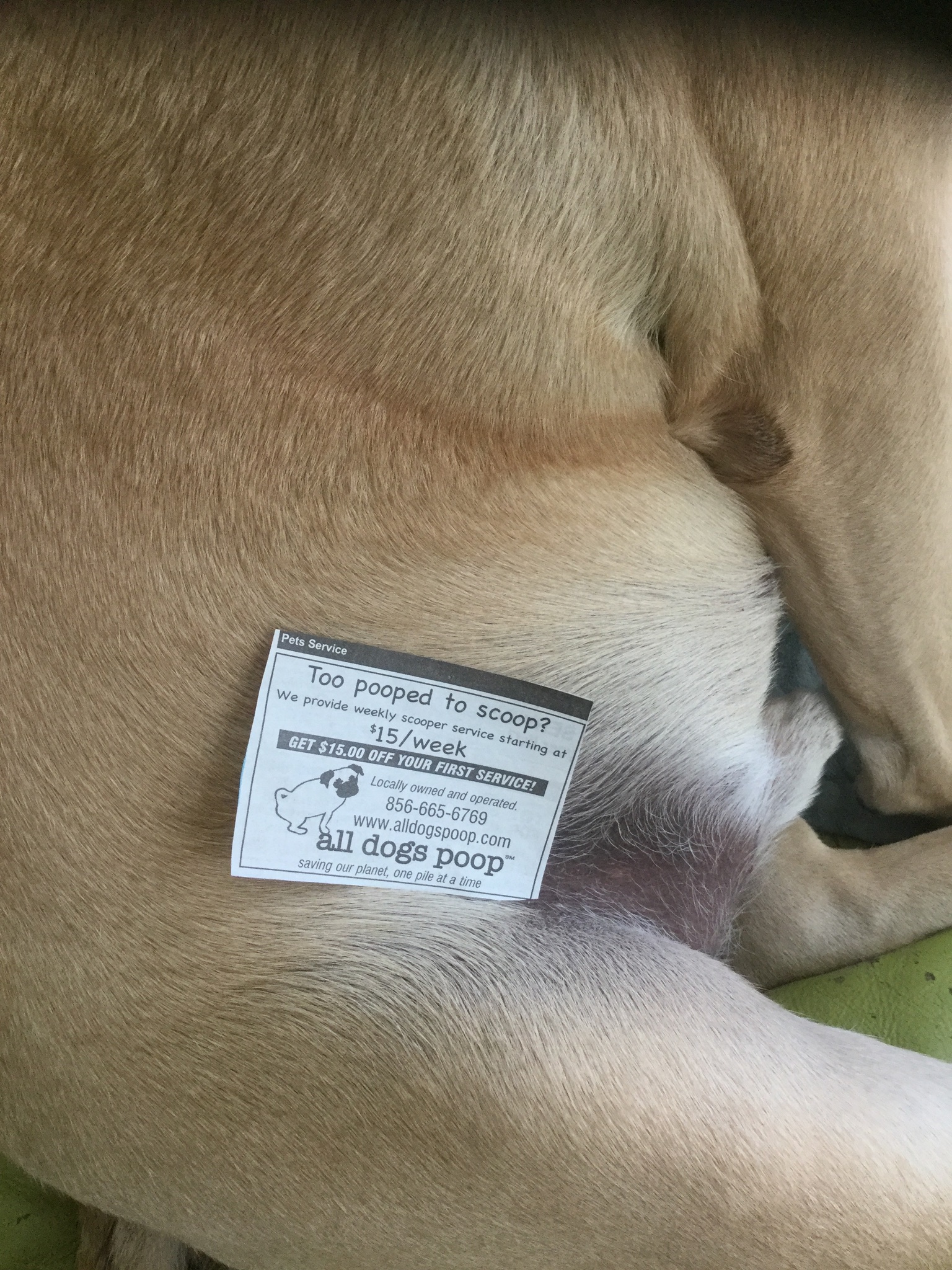 F420B3AF-25AC-42C5-B41A-A9DE7EE08E64